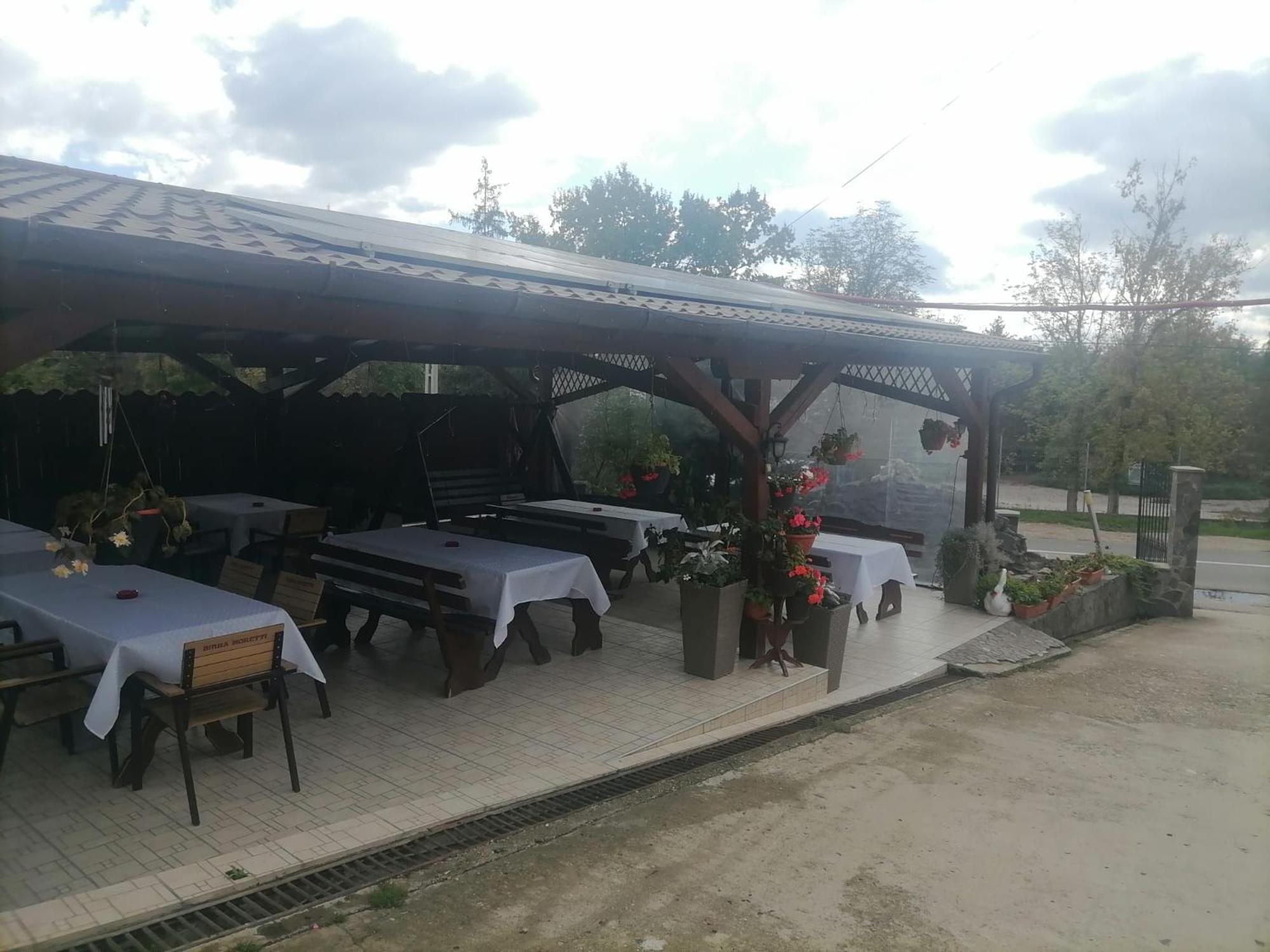 Pensiunea Cetatea Boghis Экстерьер фото